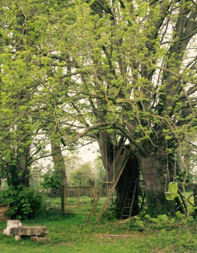 Gite Le tilleul - Cabane dans le tilleul