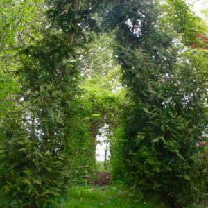 Gîtes Vert-Pomme - Le petit bois