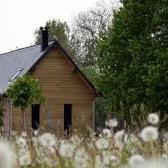 Gites Vert-Pomme dans les pissenlits - Campagne en Normandie